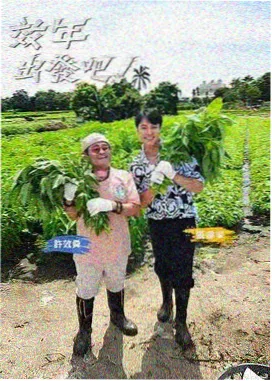 免费高清电视剧在线观看 明星大侦探